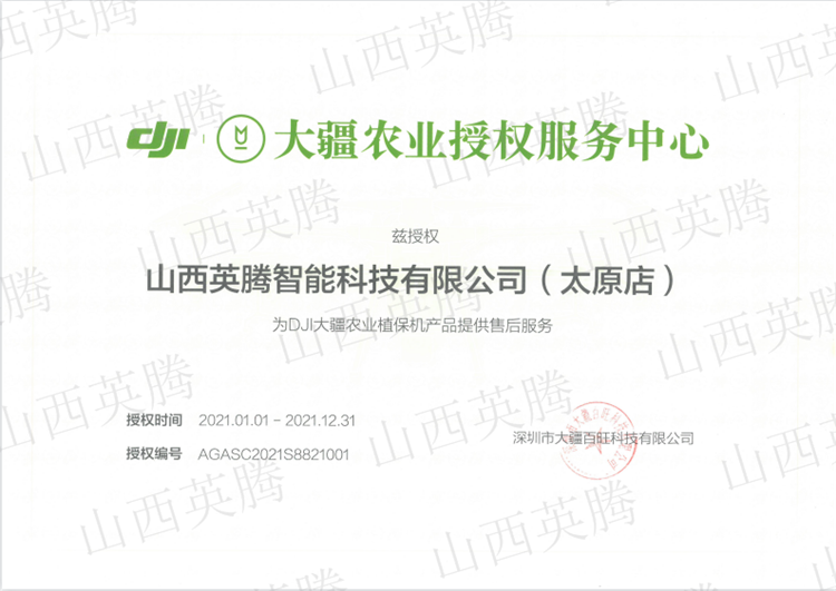 &#80;&#84;&#30495;&#20154;&#65288;&#20013;&#22269;&#65289;&#23448;&#26041;&#32593;&#31449;