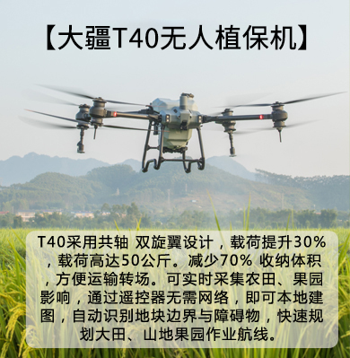&#80;&#84;&#30495;&#20154;&#65288;&#20013;&#22269;&#65289;&#23448;&#26041;&#32593;&#31449;
