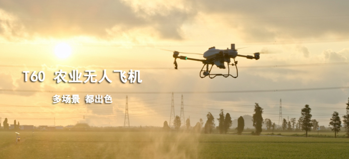 &#80;&#84;&#30495;&#20154;&#65288;&#20013;&#22269;&#65289;&#23448;&#26041;&#32593;&#31449;